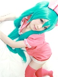 [Cosplay] Vocaloid Sexy Nurse Hatsune Miku(14)